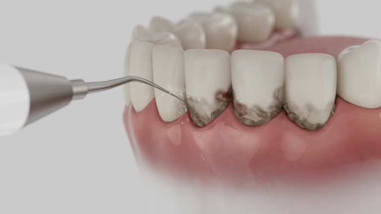 Reliable Dental contractor in Chesapeake Beach, MD by Dentist Open Now